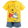 Disney Winnie The Pooh Graphic T-Shirt And Shorts Outfit Set Toddler