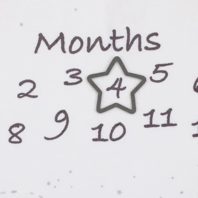 Disney Dumbo Super Soft Milestone Baby Blanket - Image 3