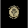 Disney Boy's Up Wilderness Explorer Badge T-Shirt