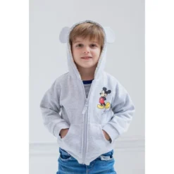 Disney Mickey Mouse Minnie Mouse Lion King Simba Fleece Zip Up Hoodie Toddler